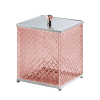 FS08P-A1-670P_HD.png